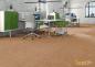 Preview: Kork Eco Dekor Madeira natur versiegelt 1,95m²/Paket